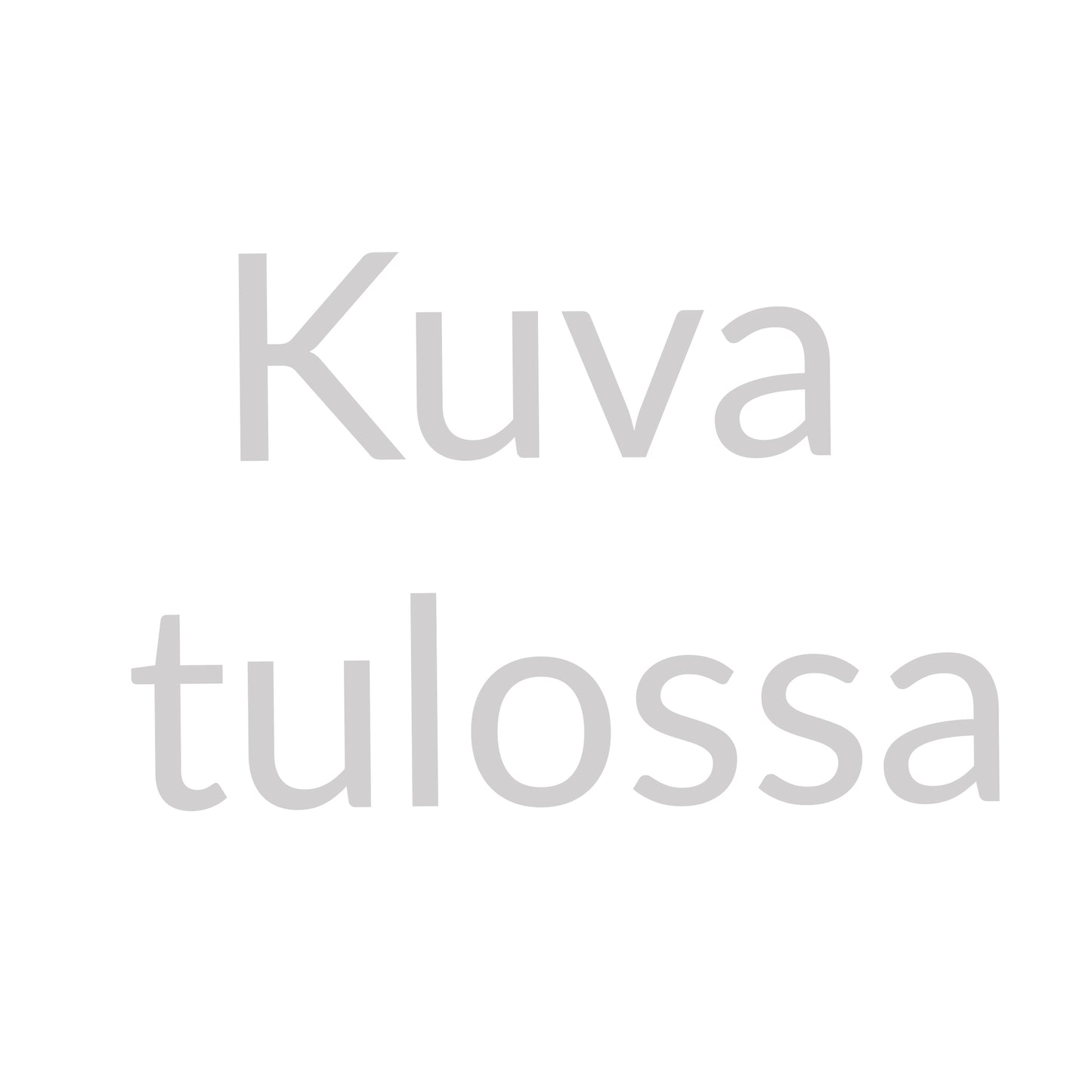Tarkastusluukku PTL 580x1070 pikakiinnityksellä, kolikkolukolla
